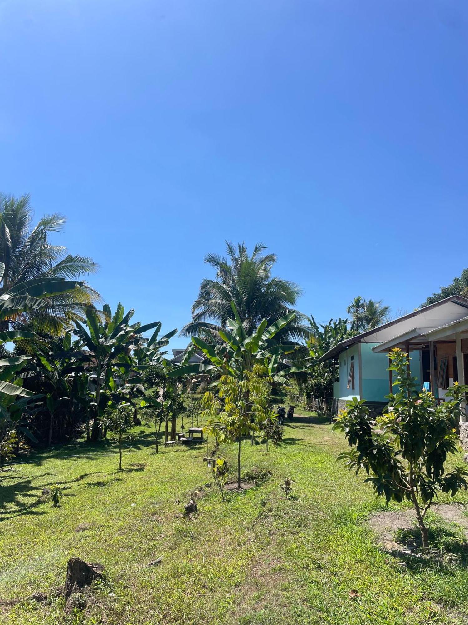 Senaru Garden Homestay المظهر الخارجي الصورة